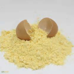 Buy Wholesale Dry Egg Yolk Delivery In Ukraine