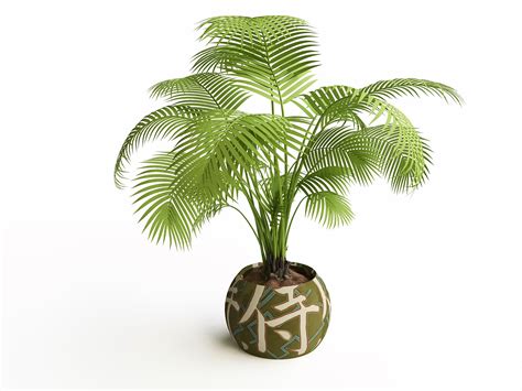 Maybe you would like to learn more about one of these? The 10 Best Houseplants for the Bedroom