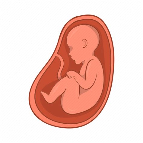 Baby Cartoon Embryo Pregnancy Pregnant Sign Stomach Icon