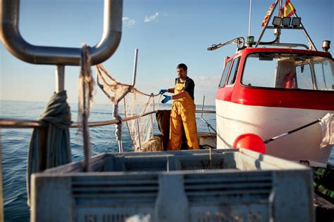 Defra Announces Eu Uk Fishing Deal Worth M For