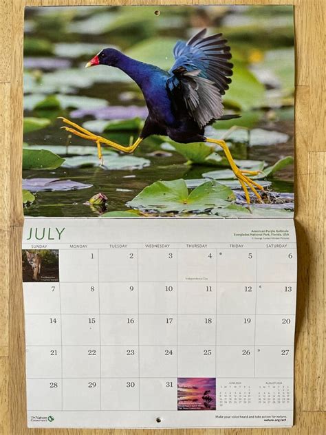 The Nature Conservancy 2024 Wall Calendar 16 Months Scenic Nature
