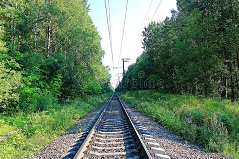 Railway Track Laid Through The Dense Forest Stock Photo Image Of Road