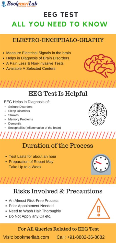 Electroencephalogram Eeg Uses Procedure Results