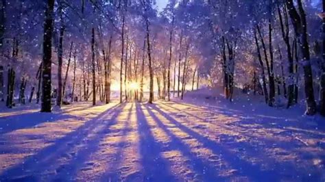 Winter Sunset Animated Desktop Wallpaper Dreamscapes