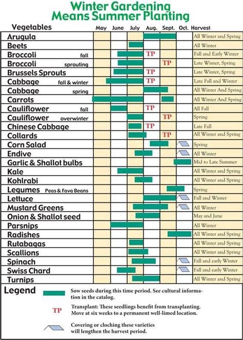 Printable Zone 8 Planting Guide