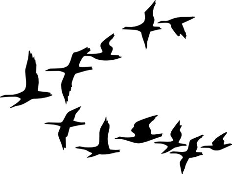 Free Flying Bird Png Download Free Flying Bird Png Png Images Free