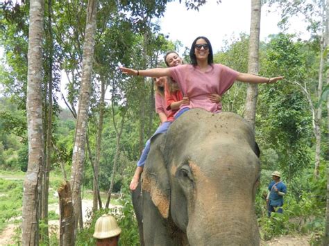 pin auf elephants and sexy women 6 elefanten fun travel