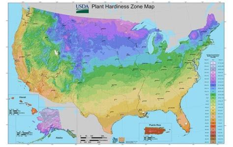 Did You Know That Usda Hardiness Zones Have Changed