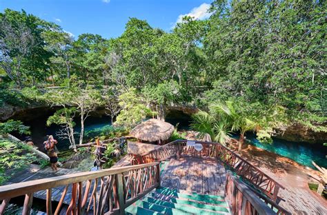 Los 🥇 10 Cenotes Más Impresionantes De Playa Del Carmen 2022