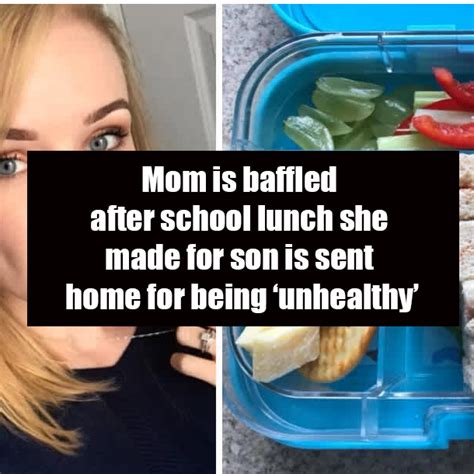 Mom Is Baffled After School Lunch She Made For Son Is Sent Home For Being Unhealthy