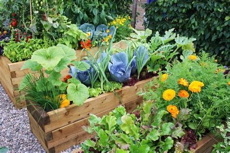 Unique Raised Vegetable Garden