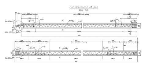 Reinforcement Of Pile Section Detail In Dwg File Cadbull