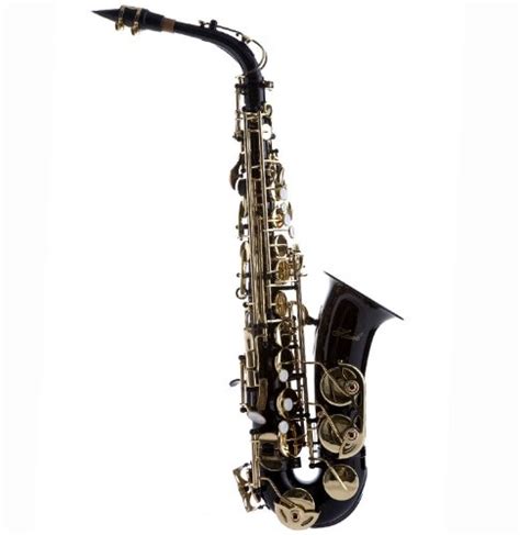 Hawk Wd S416 Bk Student Alto Saxophone With Case Mouthpiece And Reed