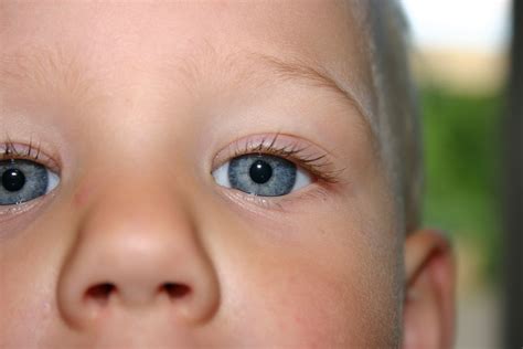 Boys Eyes 1 Free Photo Download Freeimages