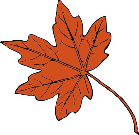 Maple Leaf Clip Art Free Vector 4vector