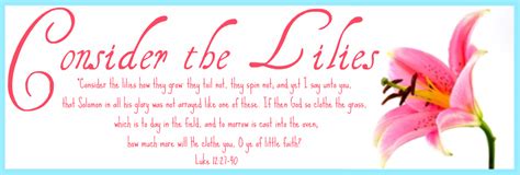 Consider The Lilies Chronological Bible Reading