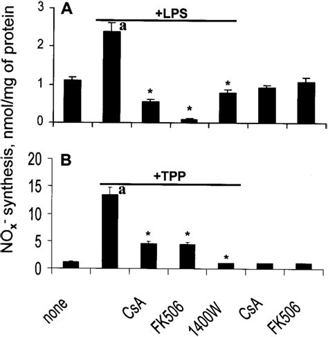 Cyclosporine A Csa And Fk506 Inhibit No Synthesis In Proximal Tubular