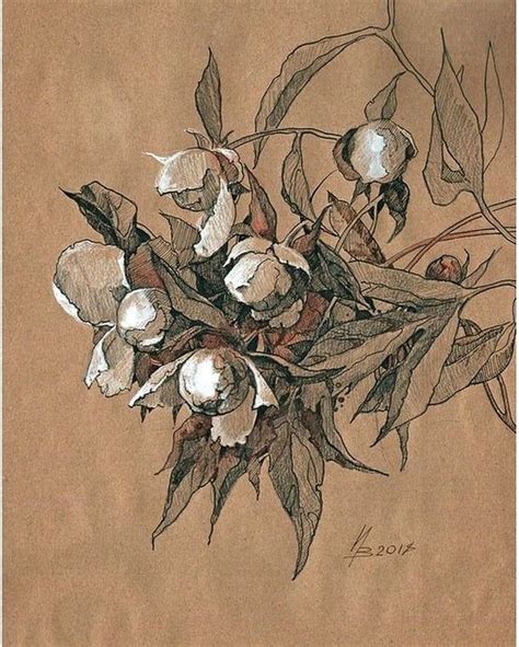Pin By Olga Hagyari On Drawing Drawings Botanical Art Flower Drawing
