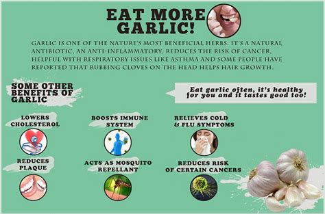 Rarely, allergic reaction with garlic supplementation can occur after taking the pills. Best Health Benefits of Garlic For Skin, Hair And Health
