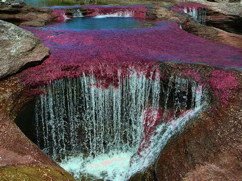 Caño Cristales Waterfall Most Beautiful Places Places To See