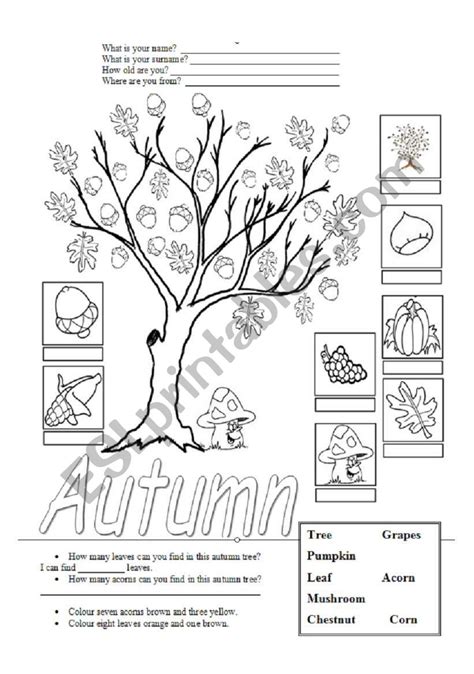 Autumn Worksheets Printable
