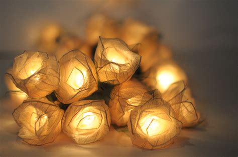We did not find results for: Romantic valentine Rose flower leaf string light patio ...