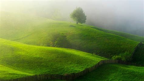 wallpaper 1920x1080 px fence field grass hills landscape mist morning nature sunlight