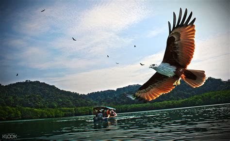 This langkawi sailing and island hopping adventure will take you to the white sandy beaches of pulau dayang bunting or pulau singa, where you'll experience tropical vibes, colorful wildlife and ultimate relaxation. Langkawi Half Day Island Hopping Tour - Klook