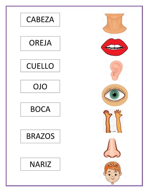 Partes Del Cuerpo Interactive And Downloadable Worksheet You Can Do