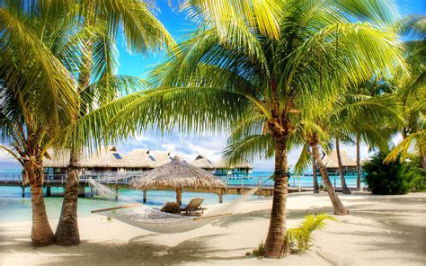Palm Trees And Plank Bed On A Beach Wallpapers And Images Wallpapers