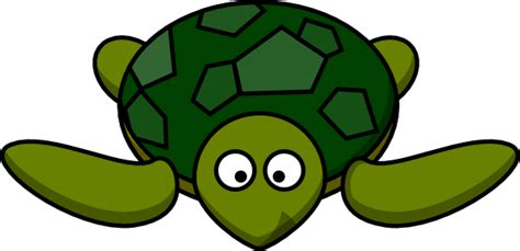 Cute Green Turtle Clip Art At Vector Clip Art Online