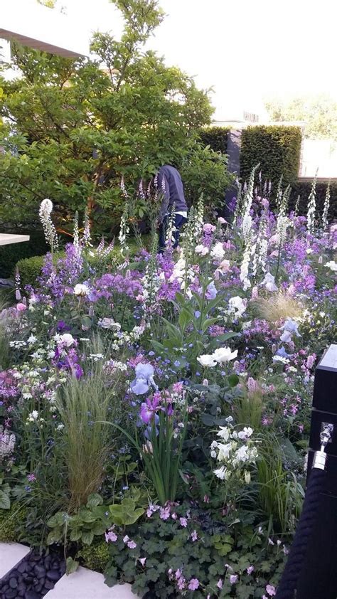 If you like an abundance of. Beautiful purple in a cottage garden #Plants fox gloves # ...