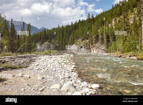 River Running Through Wooded Valley Between Mountains In Alaska Stock