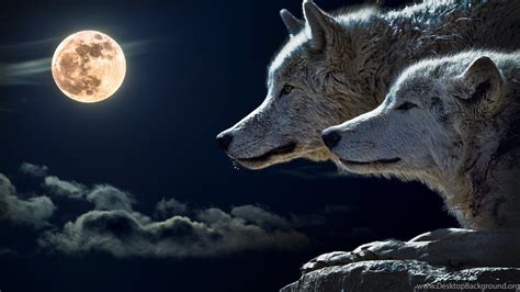 As you know windows 11 is yet to be released officially, we can't say that these leaked windows 11 wallpapers are official. Wolves And Full Moon HD Wallpapers. 4K Wallpapers Desktop Background