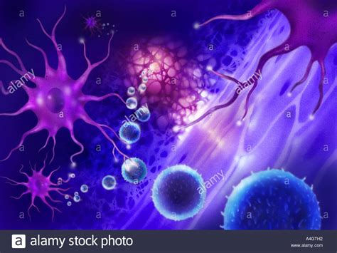An Illustration Of Dendritic Cells Purple Key Components Of The