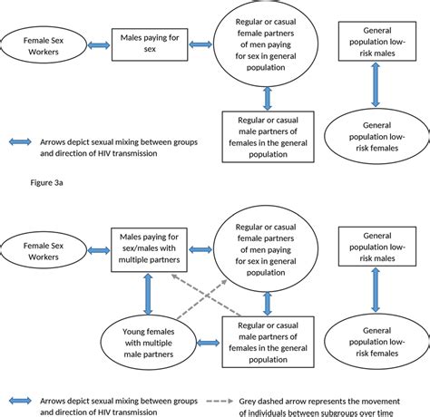 a conceptual pathway of heterosexual hiv transmission from female sex download scientific
