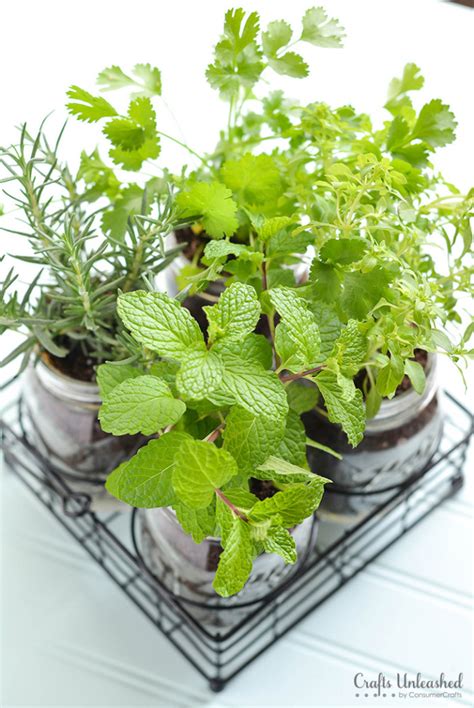 Diy Herb Garden With Mason Jars Super Easy And Inexpensive Way Of