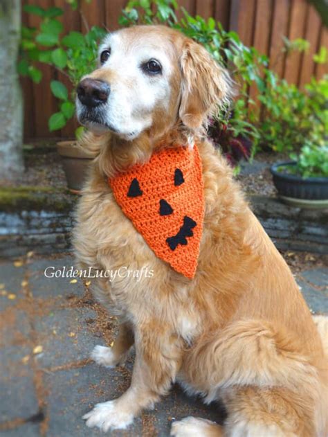 Jack Olantern Pumpkin Face Crochet Dog Bandana