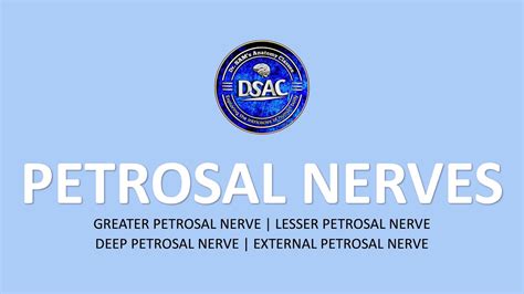 Petrosal Nerves External Petrosal N Deep Petrosal N Lesser Petrosal