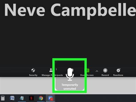 How To Mute Zoom Meeting Professionalkop