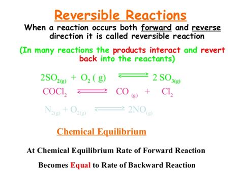 Reversible Reaction Liberal Dictionary