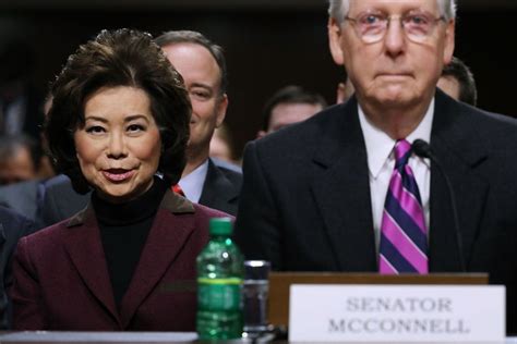 Swampiest Thing I Ve Ever Heard Msnbc Host Blasts Elaine Chao For Reportedly Steering