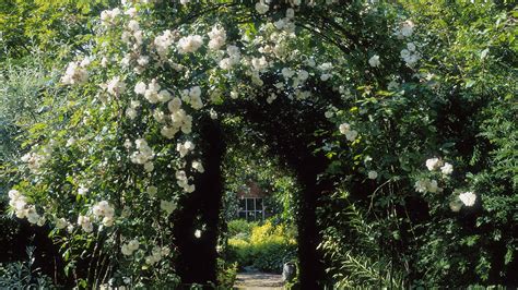 Alice Bowe The Joy Of A Cascading Rose Arch Weekend The Times