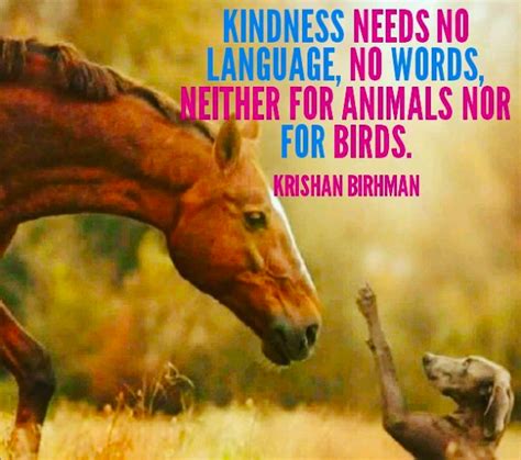 Kindness Is A Universal Language Kindness Quotes Words Language