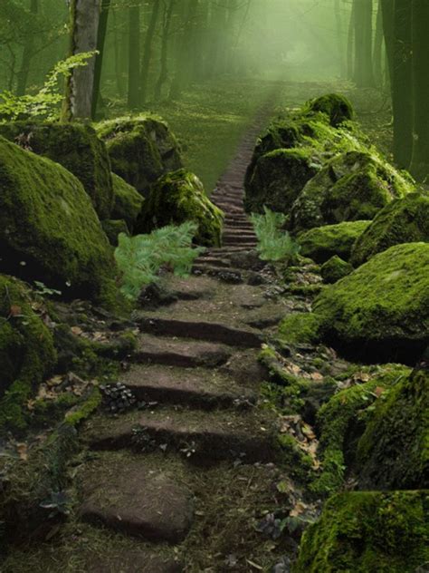 Tower Of The Archmage Sunday Inspirational Image Forest Stairs