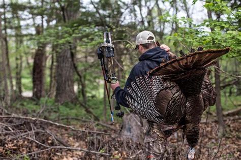 Understanding The Best Time To Hunt Turkey Successfully February2024
