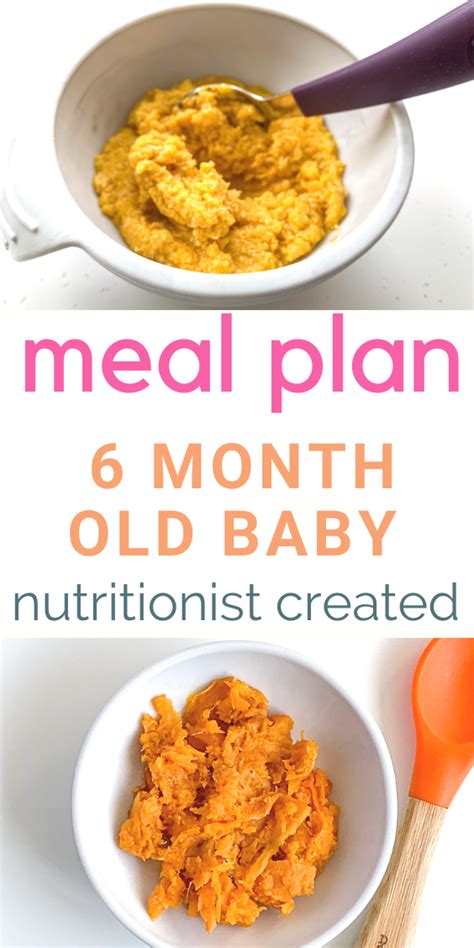 6 Month Old Meal Plan And Feeding Schedule Creative Nourish Baby Food