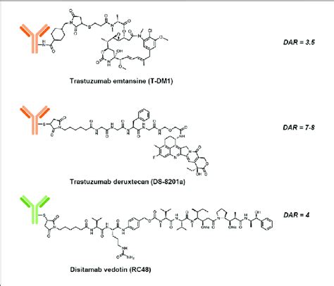 Structures Of Trastuzumab Emtansine T Dm Trastuzumab Deruxtecan Download Scientific