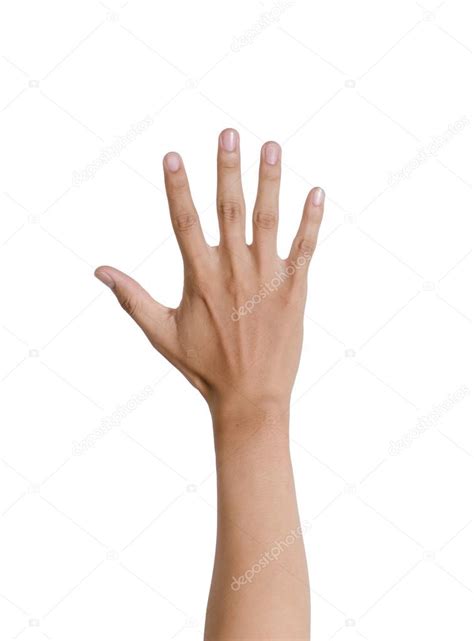 Mans Hand Isolated On White Background Stock Photo By ©khwanchais