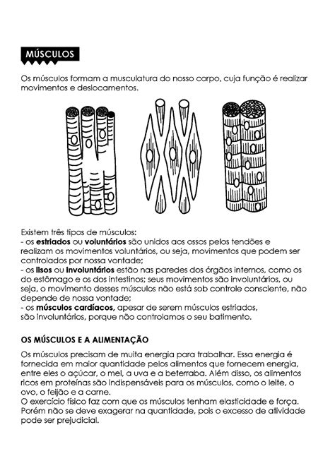 Atividades De Ciências 4 Ano Do Ensino Fundamental Para Imprimir